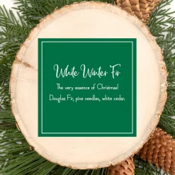 Fashion National Tree Company Scented Ornaments, 2 Pack- 6Ct Bottle, White Winter Fir, Fragrance-Infused Paper Sticks