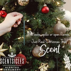 Sale National Tree Company Scented Ornaments, 2- Pack- 6Ct Bottle, O Christmas Tree, Fragrance-Infused Paper Sticks