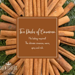 Shop National Tree Company Scented Ornaments, 2-Pack- 6Ct Bottle, 2 Dashes Of Cinnamon, Fragrance-Infused Paper Sticks