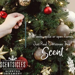 Shop National Tree Company Scented Ornaments, 2-Pack- 6Ct Bottle, 2 Dashes Of Cinnamon, Fragrance-Infused Paper Sticks