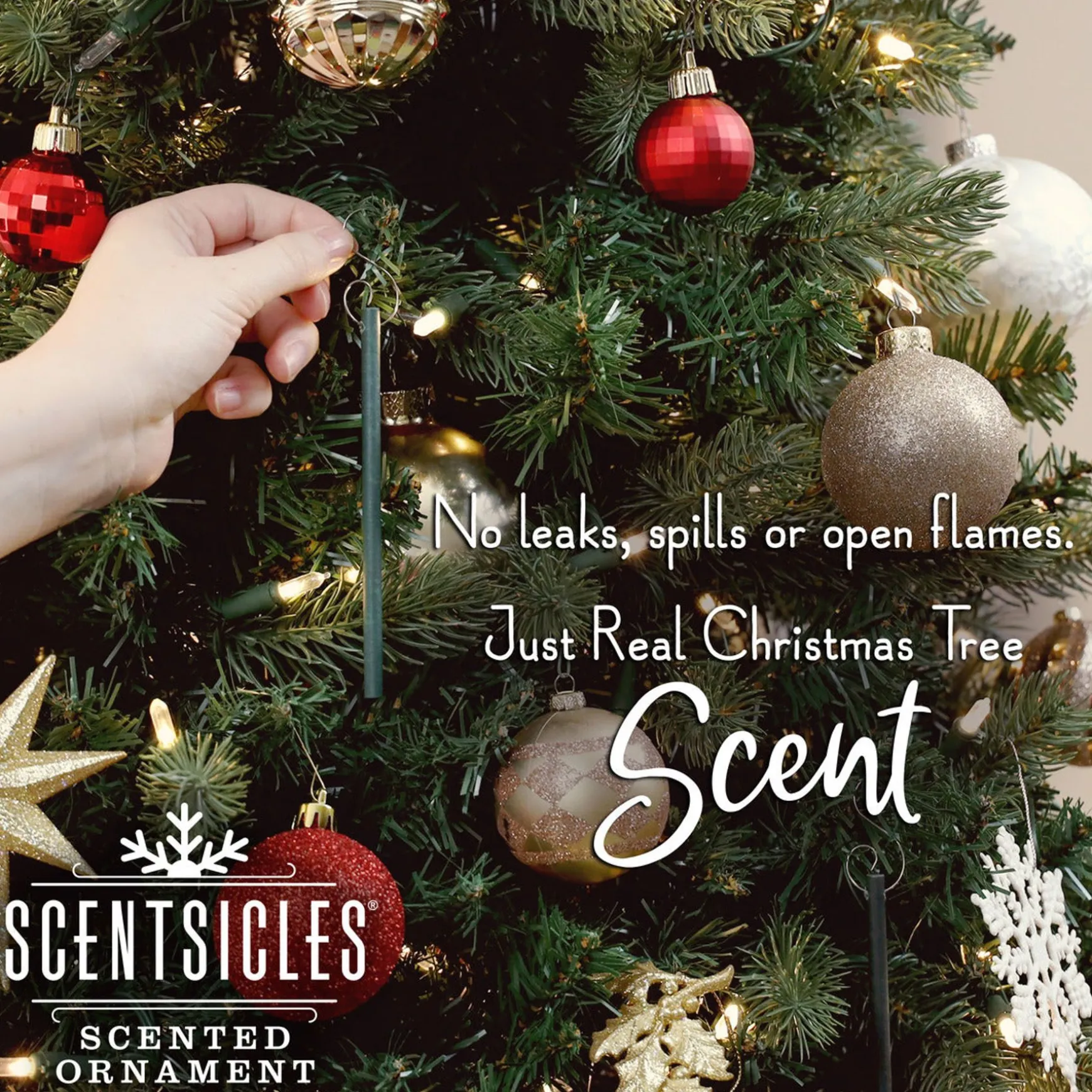 Shop National Tree Company Scented Ornaments, 2-Pack- 6Ct Bottle, 2 Dashes Of Cinnamon, Fragrance-Infused Paper Sticks