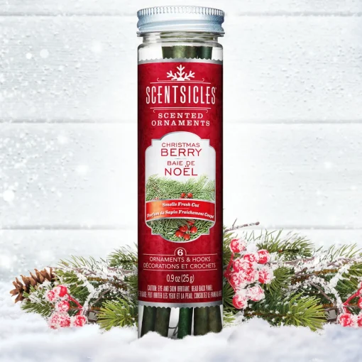 Store National Tree Company Scented Ornaments, 2-Pack- 6Ct Bottle, Christmas Berry, Fragrance-Infused Paper Sticks