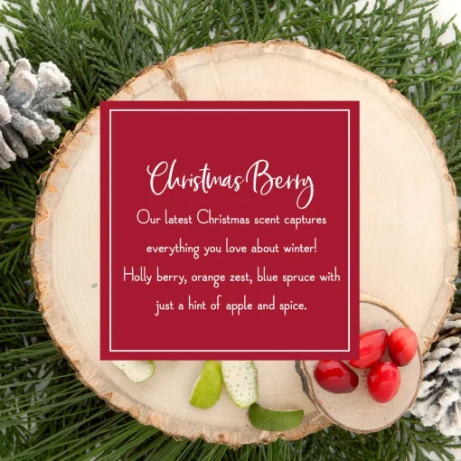 Store National Tree Company Scented Ornaments, 2-Pack- 6Ct Bottle, Christmas Berry, Fragrance-Infused Paper Sticks