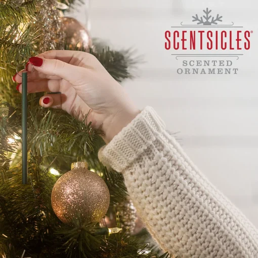 Store National Tree Company Scented Ornaments, 2-Pack- 6Ct Bottle, Christmas Berry, Fragrance-Infused Paper Sticks