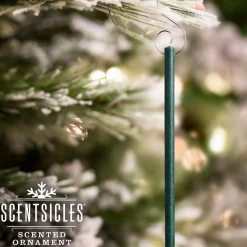 Store National Tree Company Scented Ornaments, 2-Pack- 6Ct Bottle, Christmas Berry, Fragrance-Infused Paper Sticks