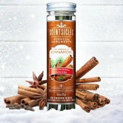 Clearance National Tree Company Scented Ornaments, 2-Pack- 6Ct Bottle, 2 Dashes Of Cinnamon, Fragrance-Infused Paper Sticks