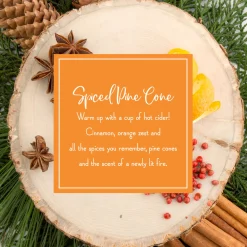 Flash Sale National Tree Company Scented Ornaments, 2-Pack- 6Ct Bottle, Spiced Pine Cones, Fragrance-Infused Paper Sticks