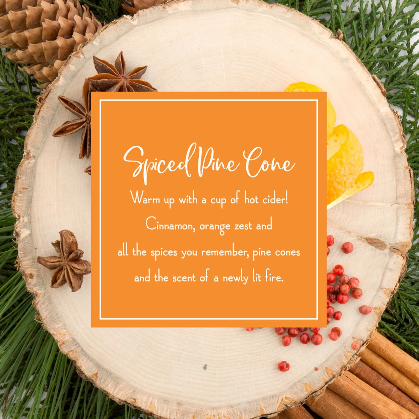 Flash Sale National Tree Company Scented Ornaments, 2-Pack- 6Ct Bottle, Spiced Pine Cones, Fragrance-Infused Paper Sticks