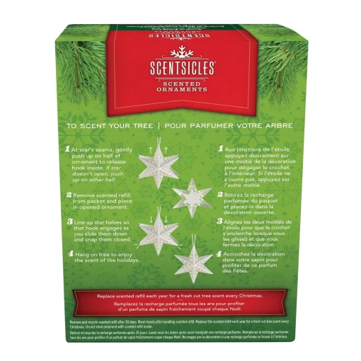 Store National Tree Company Scentsicles Decorative Ornament, Metal White Star, White Winter Fir With Refill