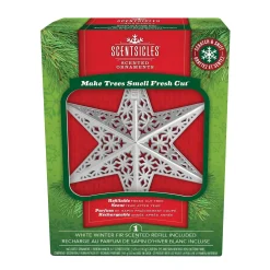 Store National Tree Company Scentsicles Decorative Ornament, Metal White Star, White Winter Fir With Refill