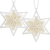 Sale National Tree Company Scentsicles, Scented Star Ornament, White Winter Fir, 2-Pack