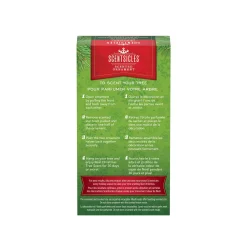 Sale National Tree Company Scentsicles, Scented Star Ornament, White Winter Fir, 2-Pack