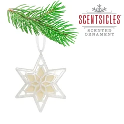 Sale National Tree Company Scentsicles, Scented Star Ornament, White Winter Fir, 2-Pack