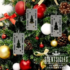 Best National Tree Company Scentsicles, Trio Ornament Set Of 3, Bottle 6Pc Stick, White Winter Fir