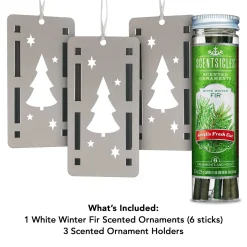 Best National Tree Company Scentsicles, Trio Ornament Set Of 3, Bottle 6Pc Stick, White Winter Fir