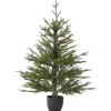Cheap National Tree Company Woodward Pine Christmas Tree, Black Pot Base, 3 Ft