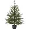 Woodward Pine Christmas Tree, Black Pot Base, 3 Ft^National Tree Company Fashion